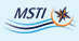 海事训练学院 (MSTI)