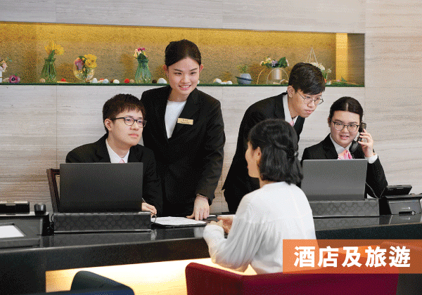 职业训练局 Diploma Programmes