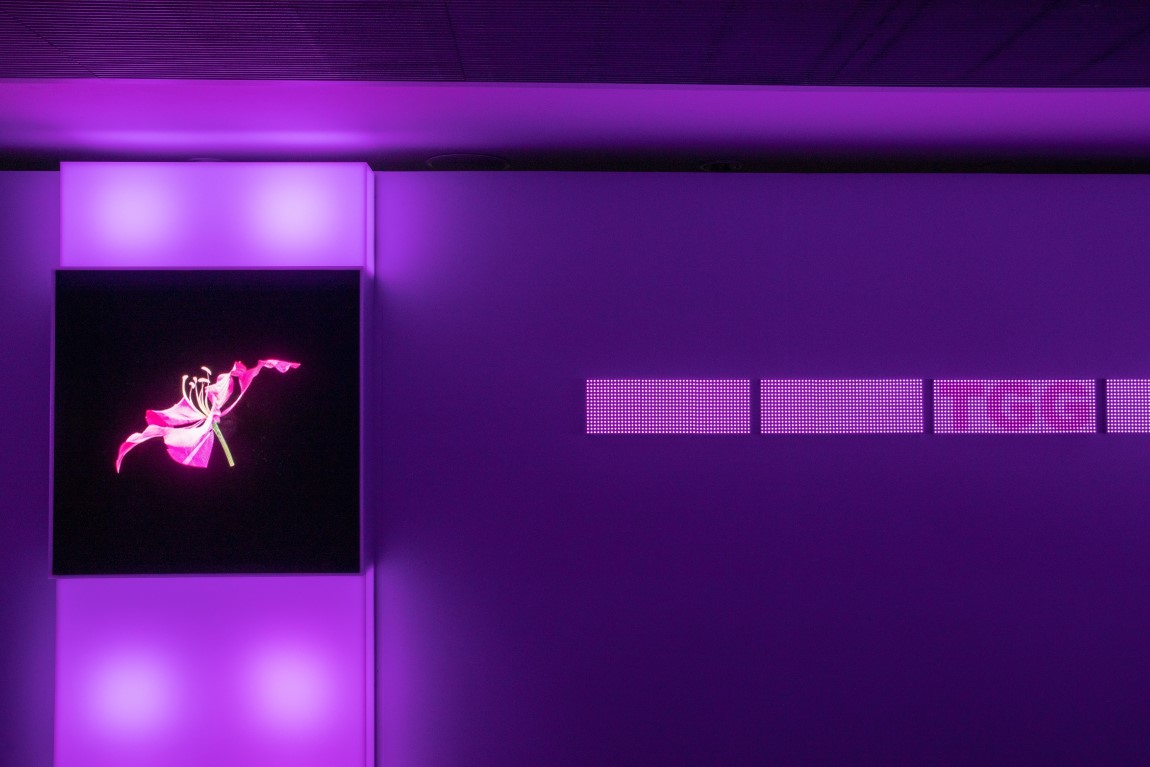 hkdi gallery proudly presents hylozoism an arts technology exhibition Image 3